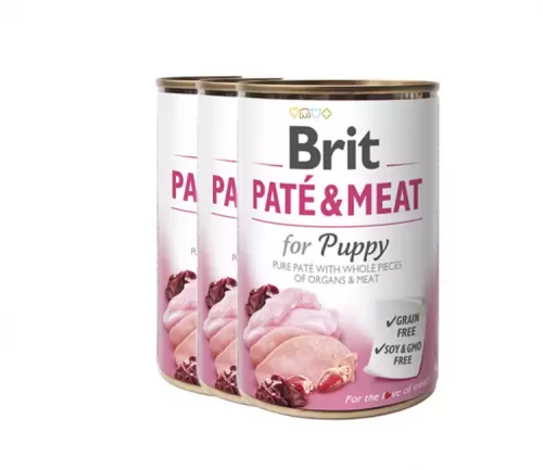 Brit pate-puppy